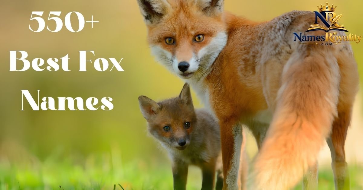 Fox Names