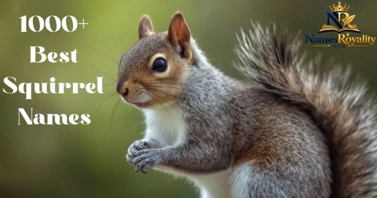 Squirrel Names
