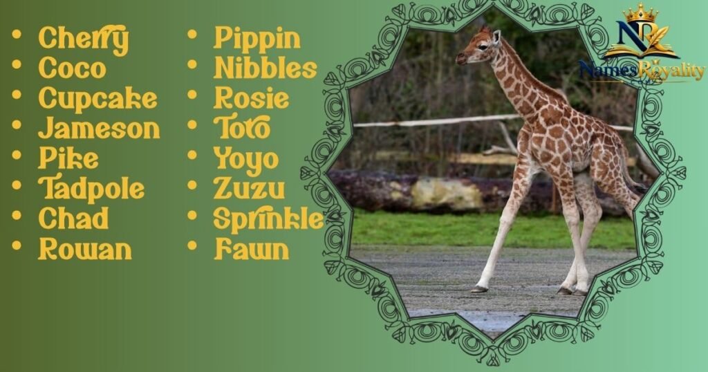 Baby Giraffe Names
