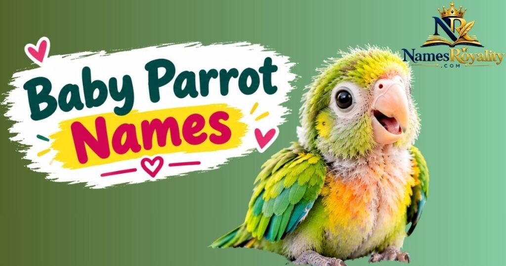 Baby Parrot Names