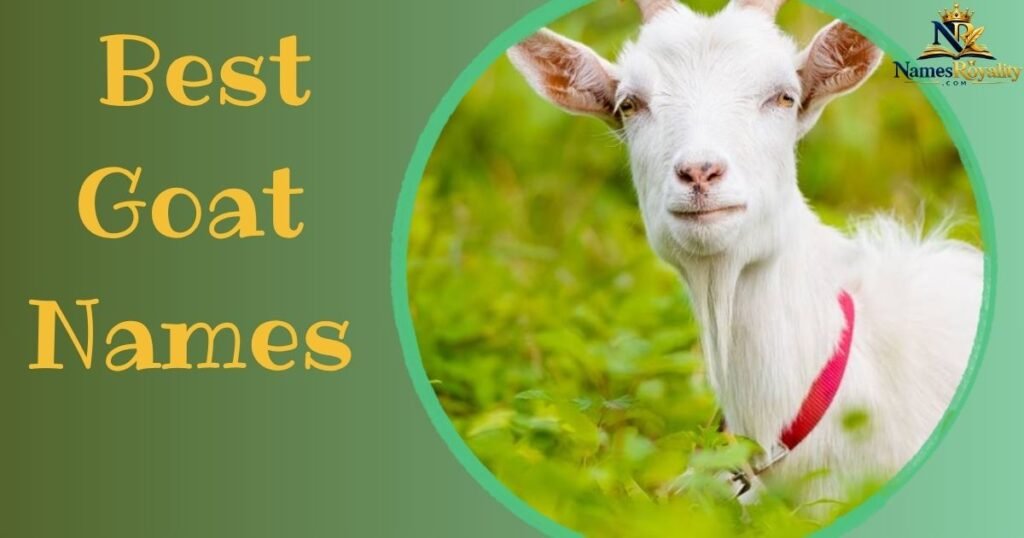 Best Goat Names
