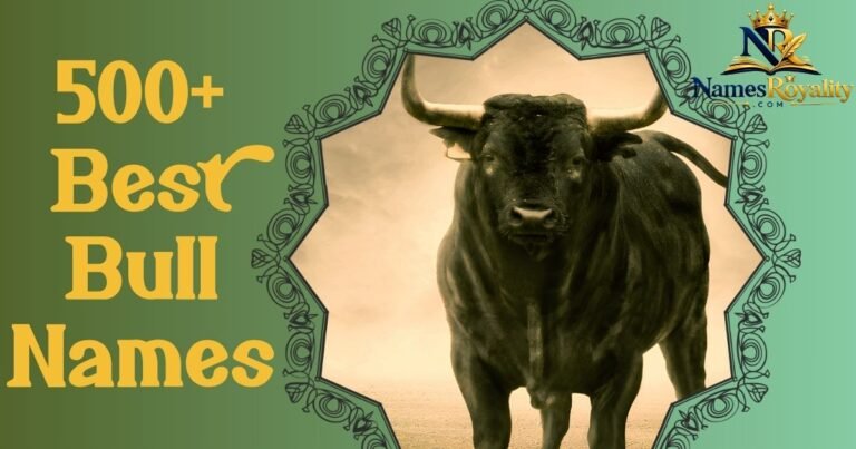 Bull Names