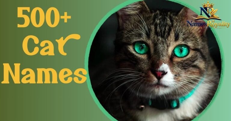 Cat Names