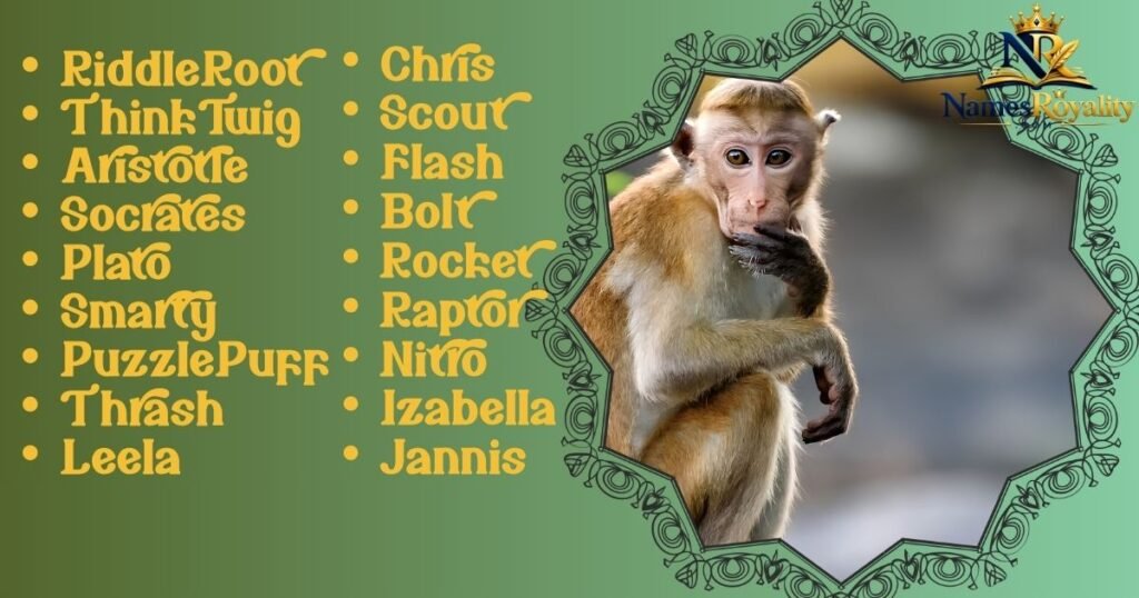 Clever Monkey Names