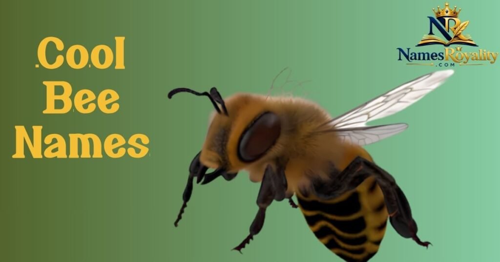 Cool Bee Names