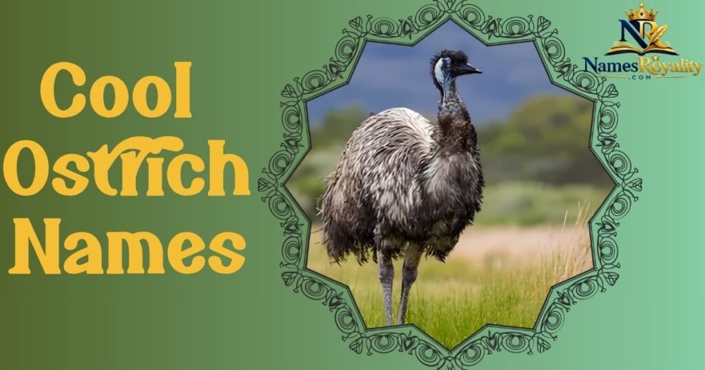 Cool Ostrich Names