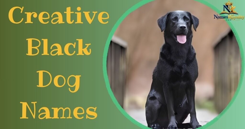 Creative Black Dog Names