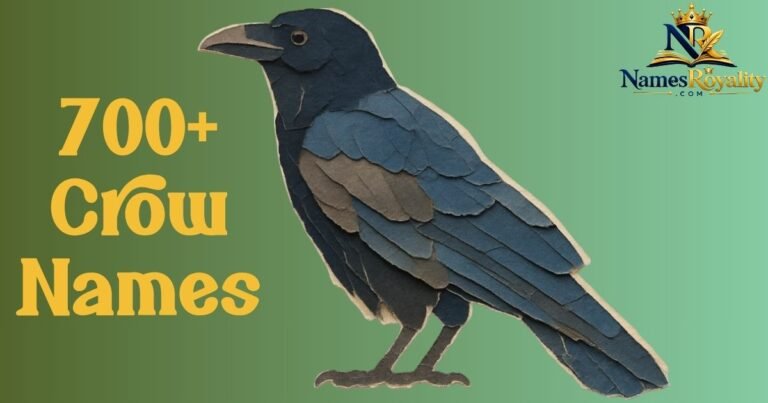 Crow Names