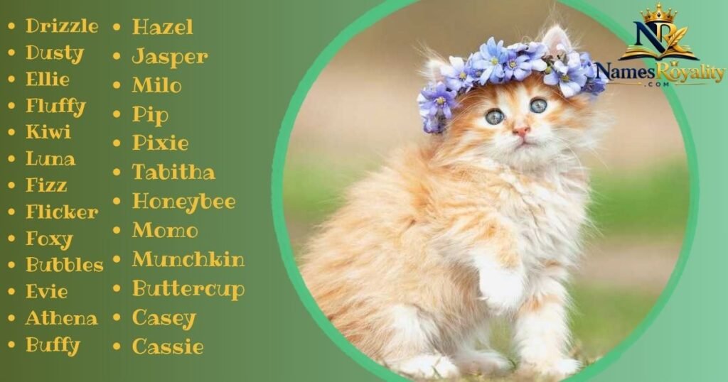 Cute Cat Names