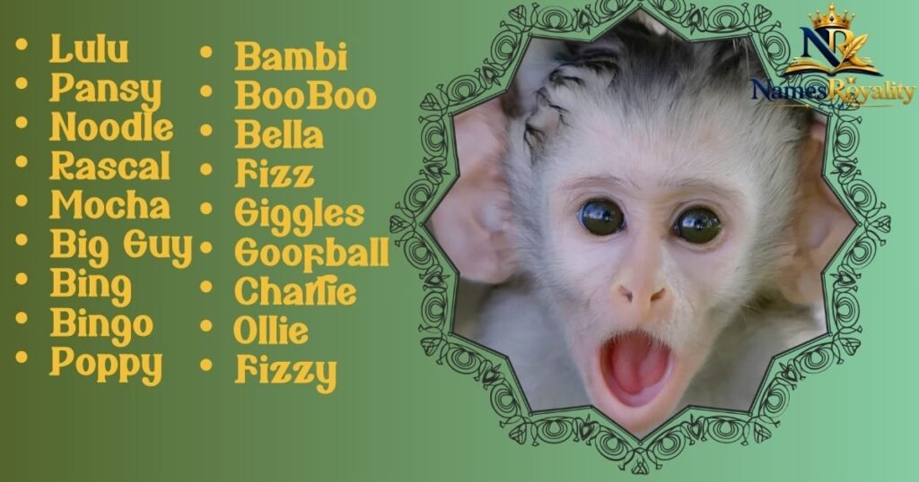 Cute Monkey Names
