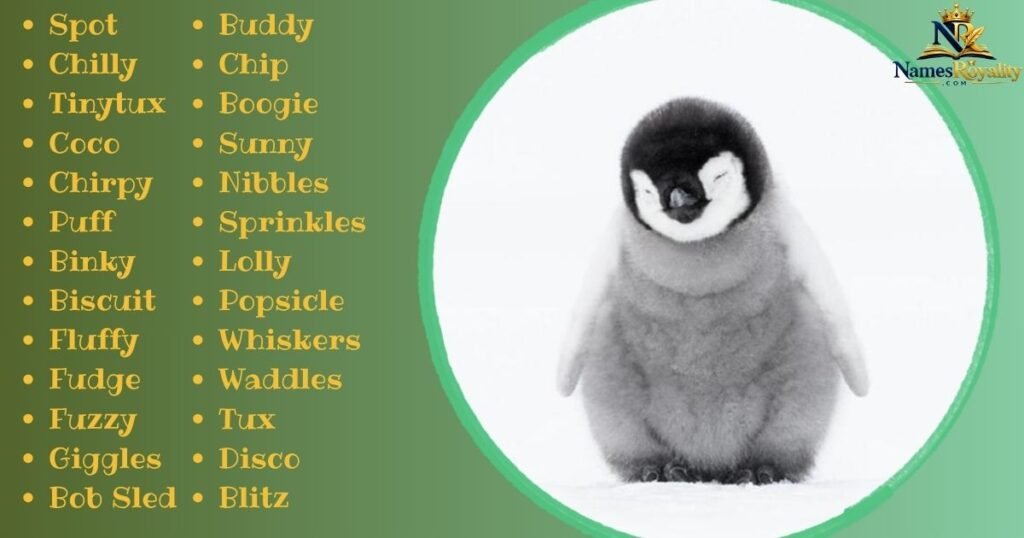 Cute Penguin Names