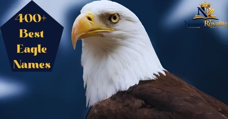 Eagle Names