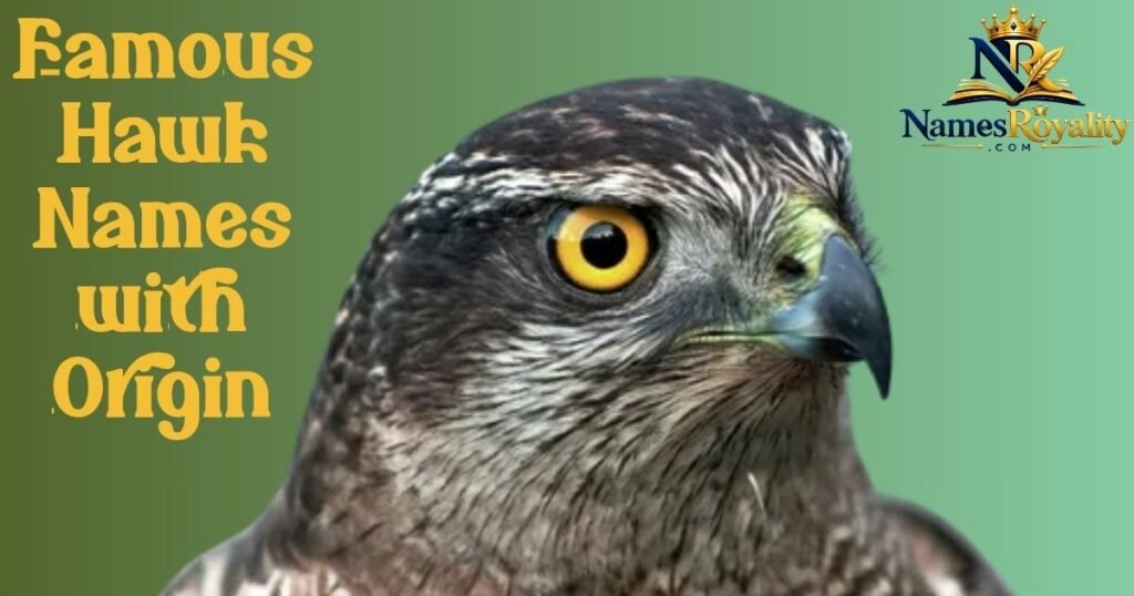 Famous Hawk Names with Origin