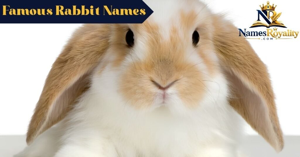 Famous Rabbit Names