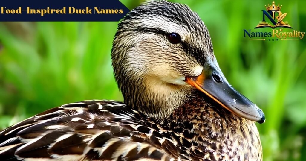 Food-Inspired Duck Names