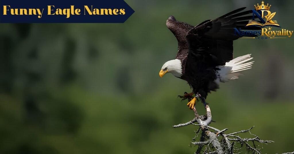 Funny Eagle Names