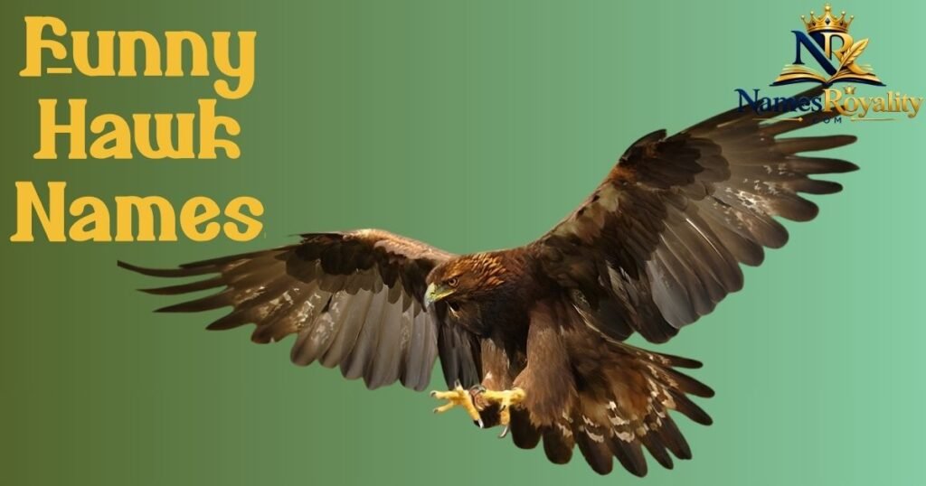 Funny Hawk Names