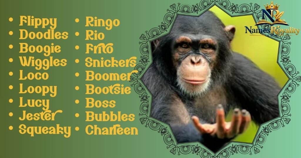 Funny Monkey Names