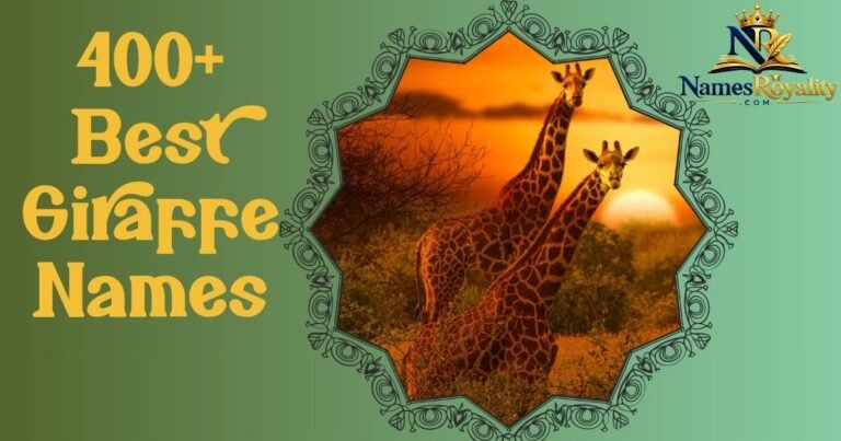 Giraffe Names
