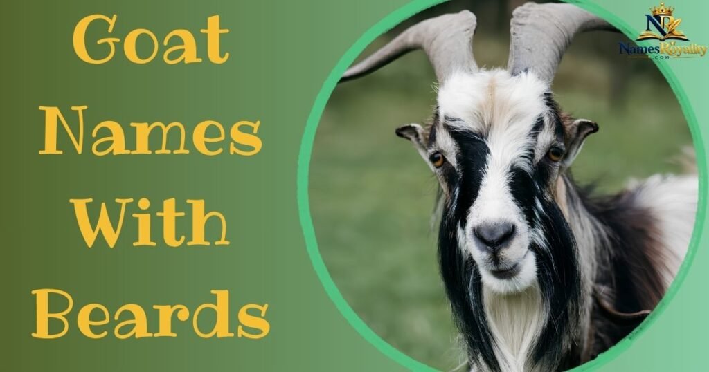Goat Names With Beards