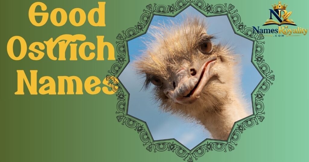 Good Ostrich Names