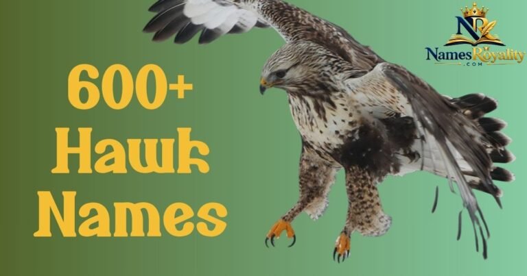 Hawk Names
