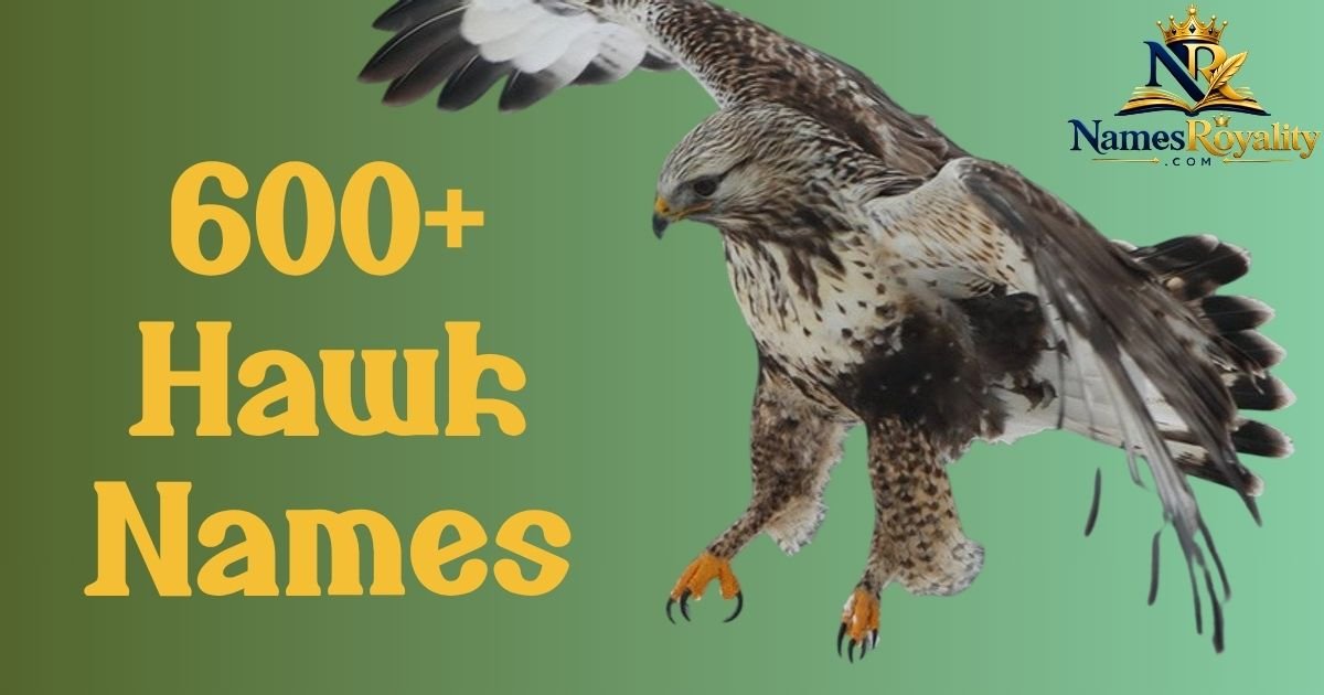 Hawk Names