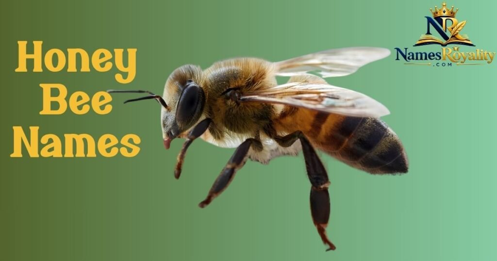 Honey Bee Names