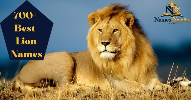 Lion Names