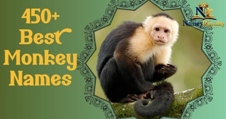 Monkey Names