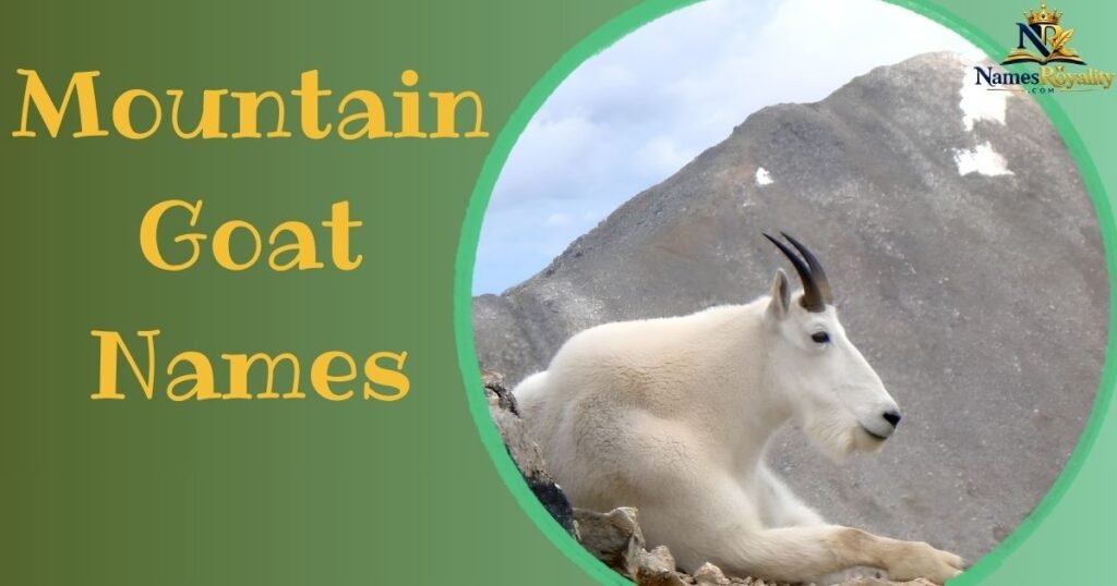 Mountain Goat Names
