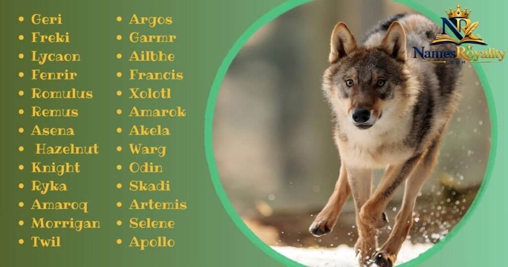 Mystical Wolf Names