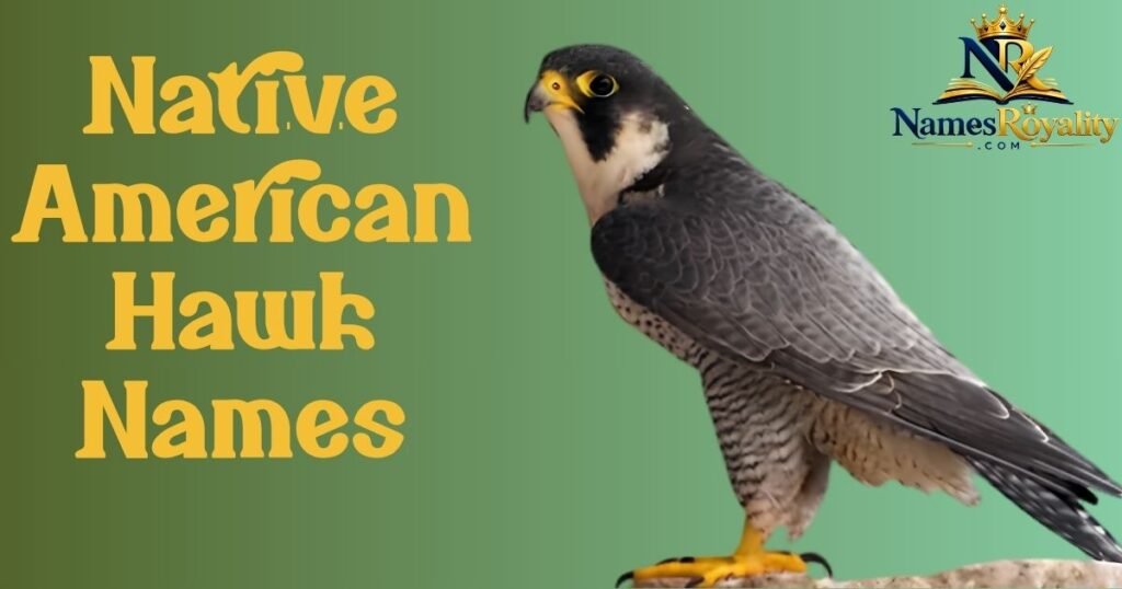 Native American Hawk Names