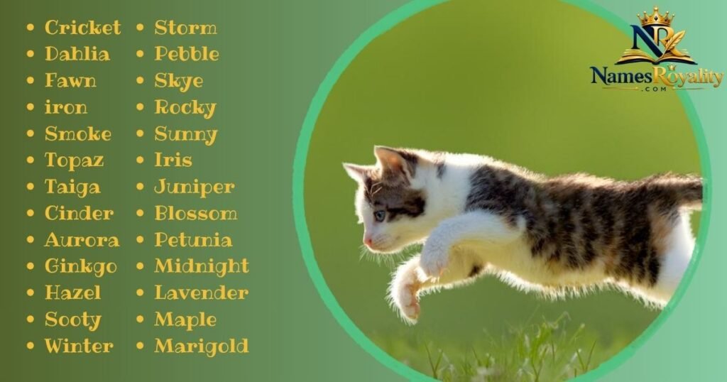 Nature-Inspired Cat Names