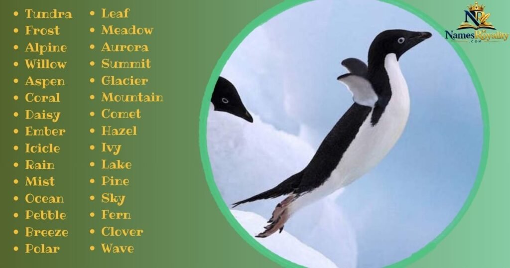 Nature-Inspired Penguin Names