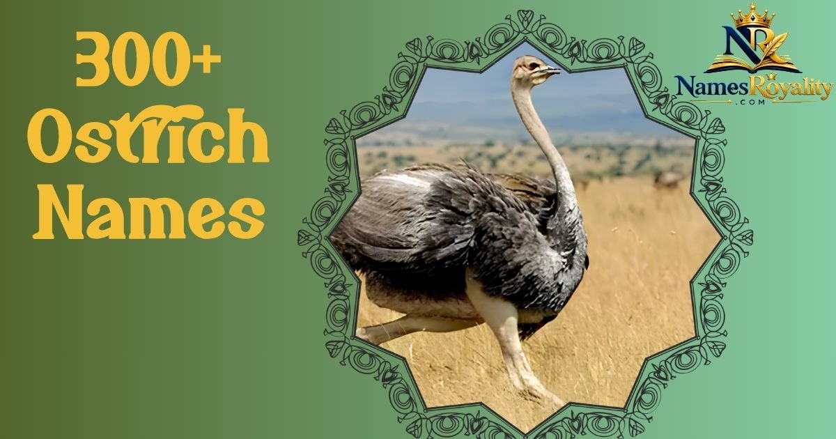 Ostrich Names