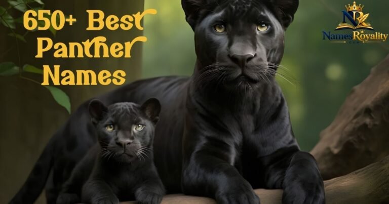 Panther Names