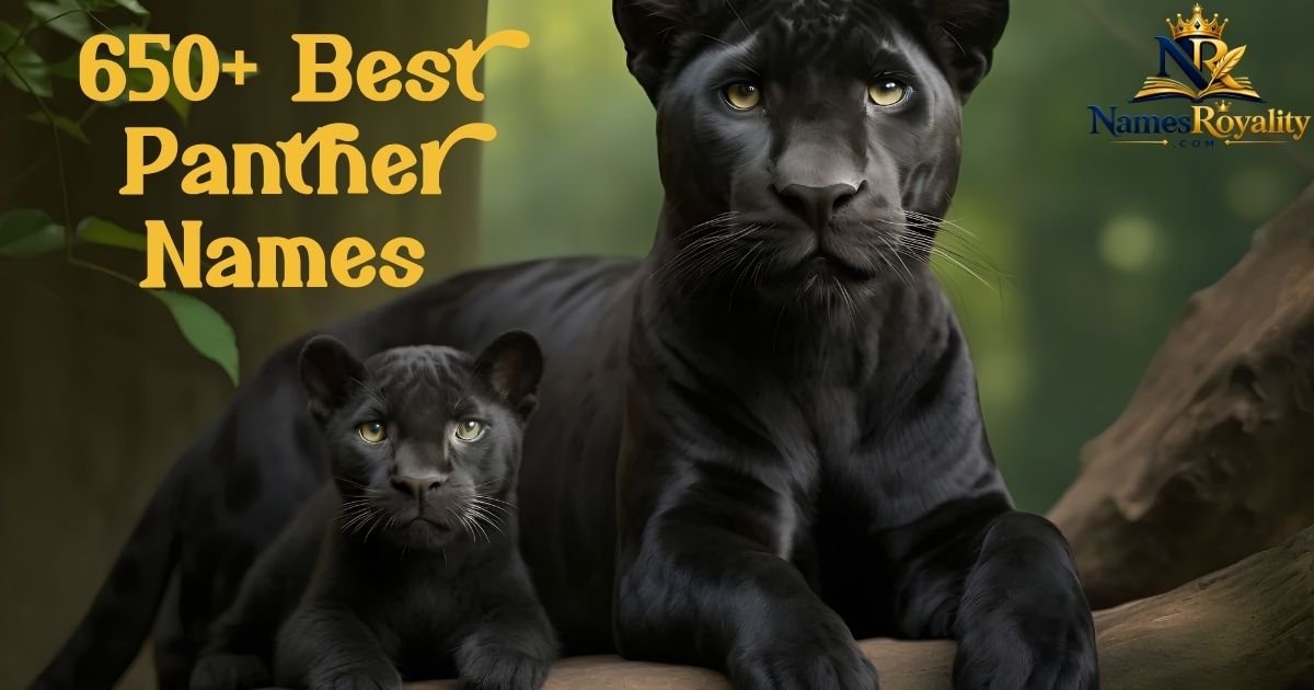 Panther Names