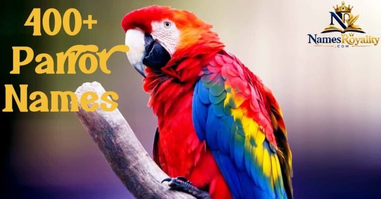 Parrot Names
