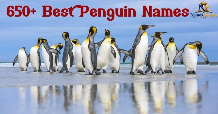 Penguin Names