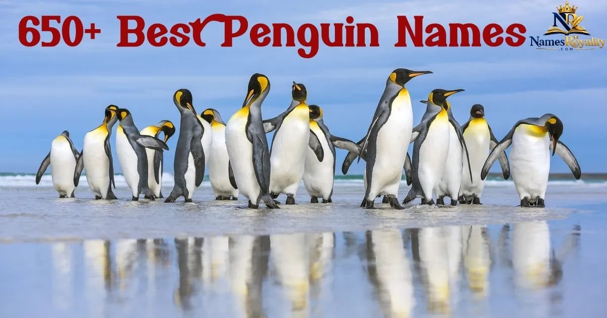 Penguin Names