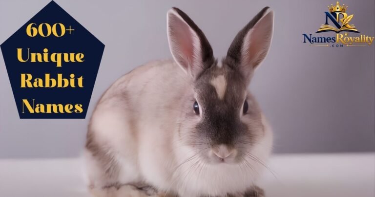 Rabbit Names