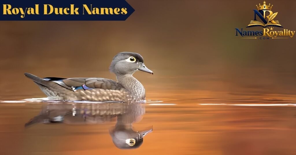 Royal Duck Names