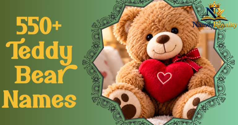 Teddy Bear Names