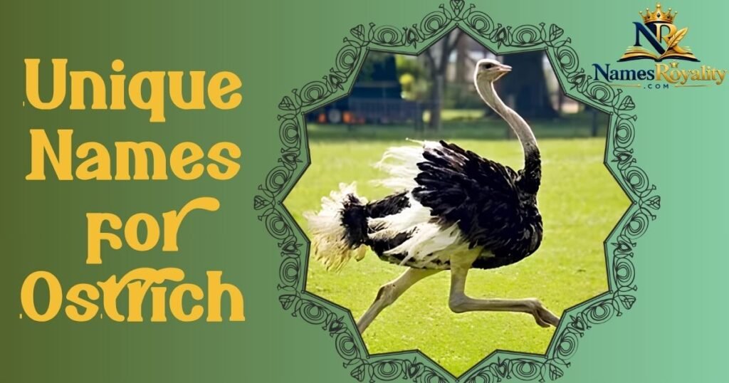 Unique Names for Ostrich