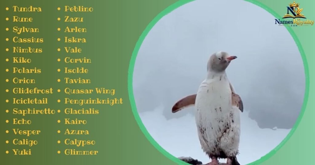 Unique Penguin Names