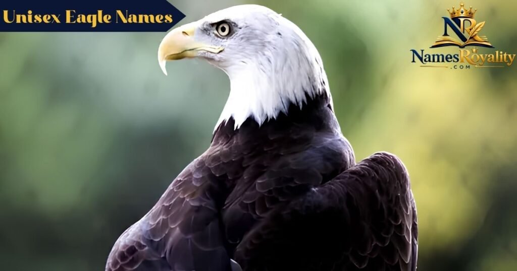 Unisex Eagle Names