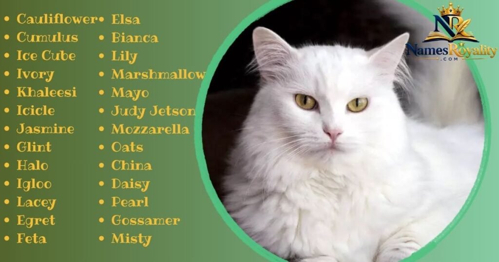 White Cat Names