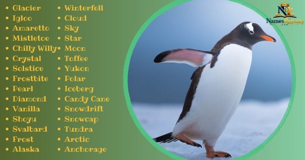 Wintery and Icy Penguin Names