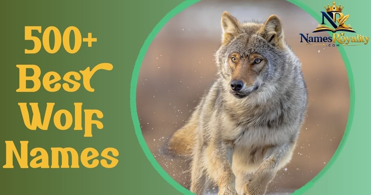 Wolf Names